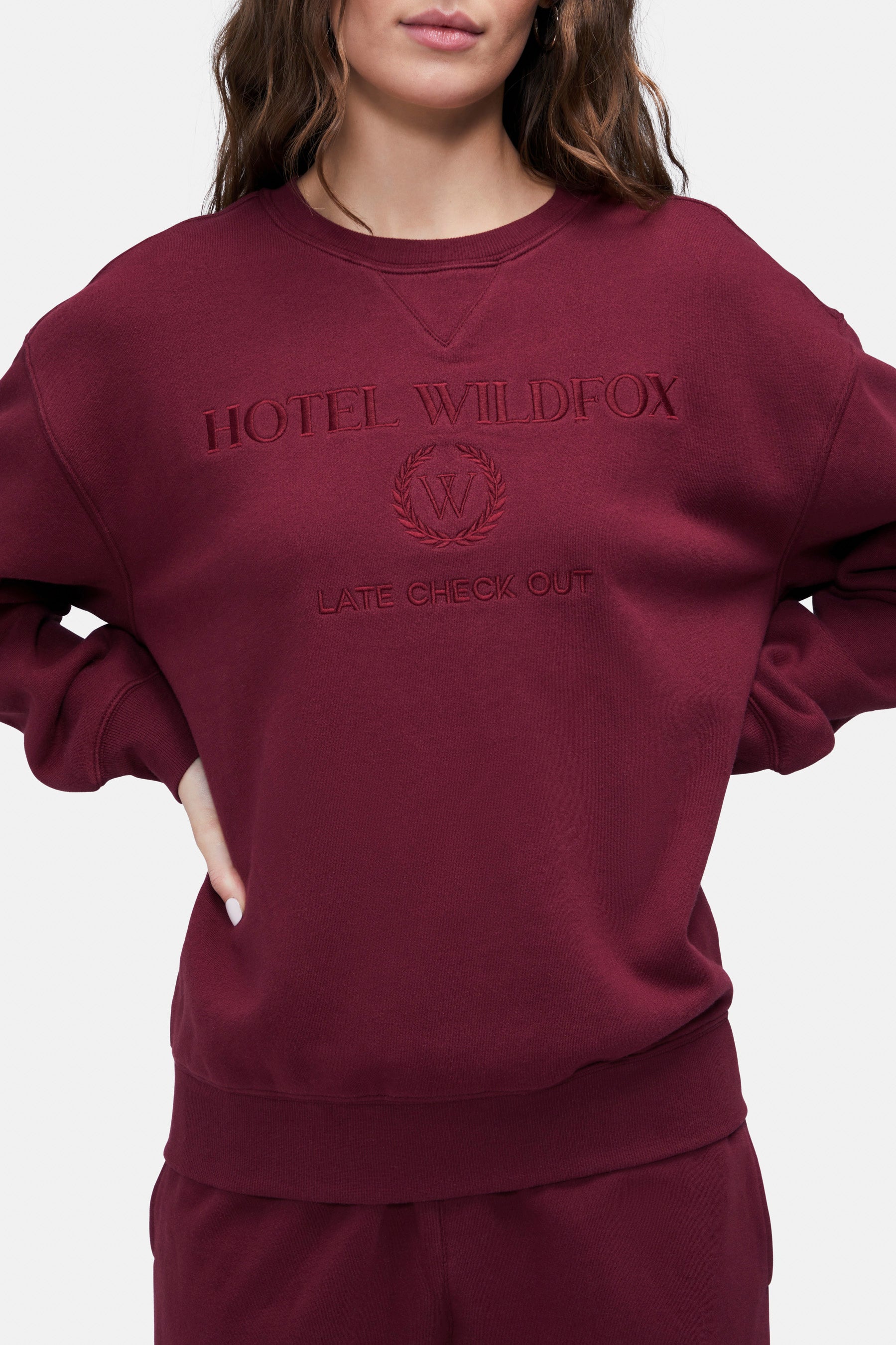 Wildfox hotsell trouble sweater