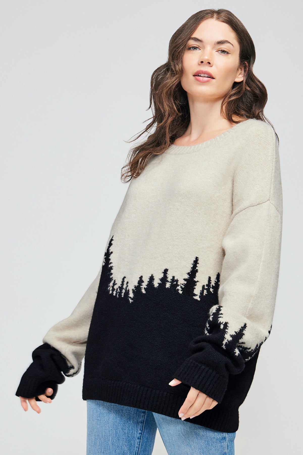 Wildfox trouble cheap sweater